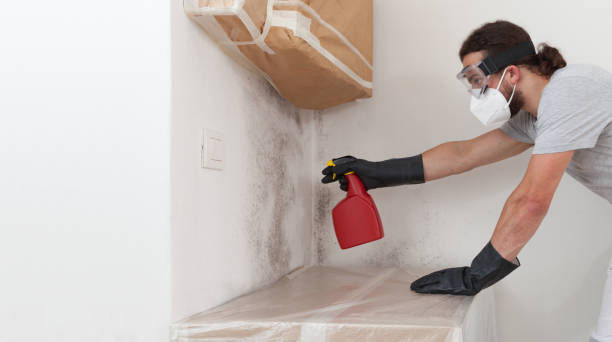 Professional Attic Mold Remediation technician working in Jackson, MN