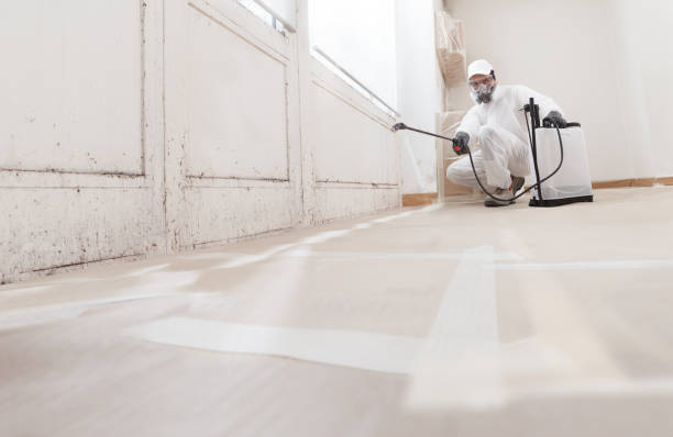 24/7 Emergency Attic Mold Remediation experts in Jackson, MN